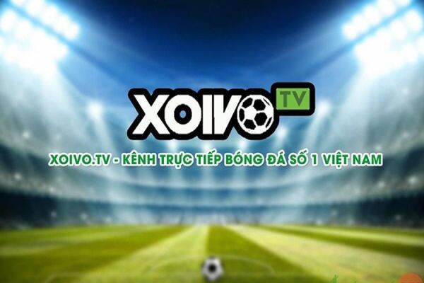 Xoivo TV là kênh trực tiếp bóng đá hàng đầu hiện nay