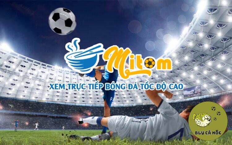 Mitom TV là địa chỉ live bóng đá hàng đầu tại Việt Nam