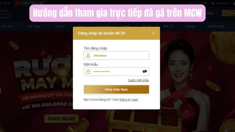 Hướng dẫn tham gia trực tiếp đá gà trên MCW