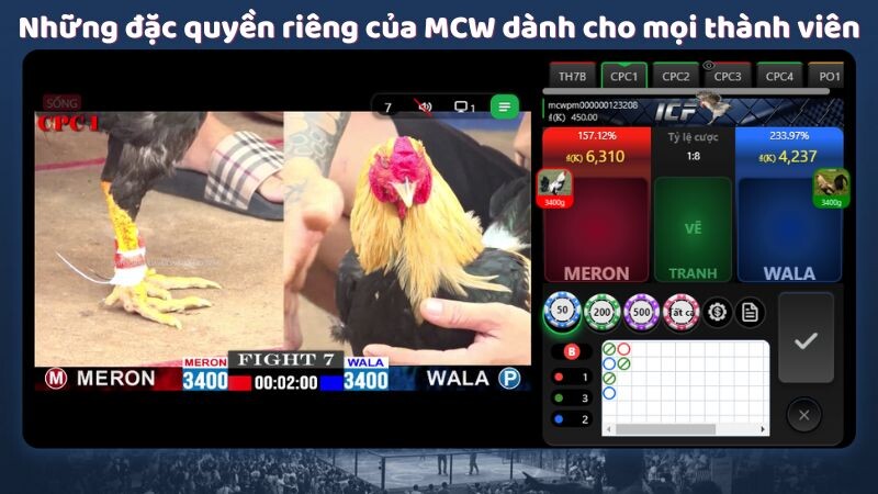 Những đặc quyền riêng của MCW dành cho mọi thành viên