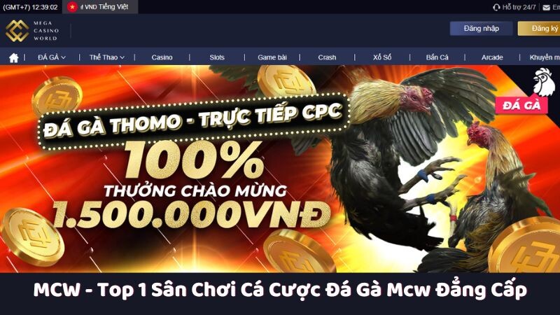 Giới thiệu đôi nét về MCW