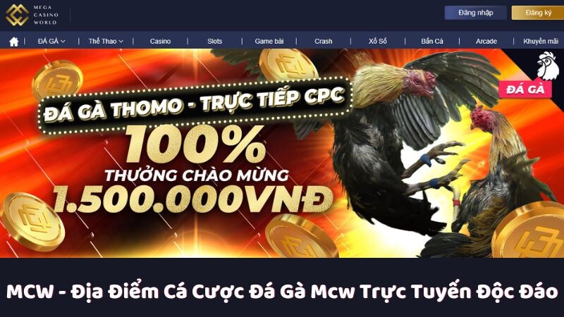 Giới thiệu phương châm hoạt động trong lĩnh vực giải trí cá cược trực tuyến của MCW